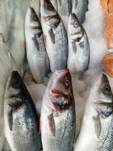 Denizin Lezzetlerine Hoşgeldiniz