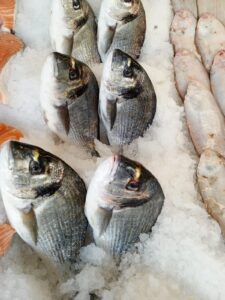 Denizin Lezzetlerine Hoşgeldiniz